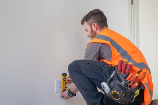 Best Electric Panel Repair  in Pocono Ranch Lands, PA